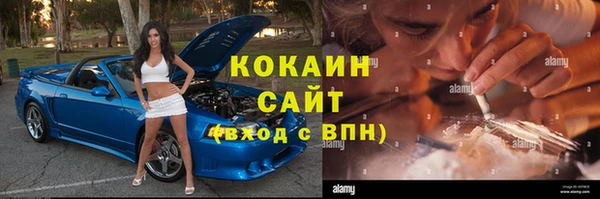 прущие грибы Лиски